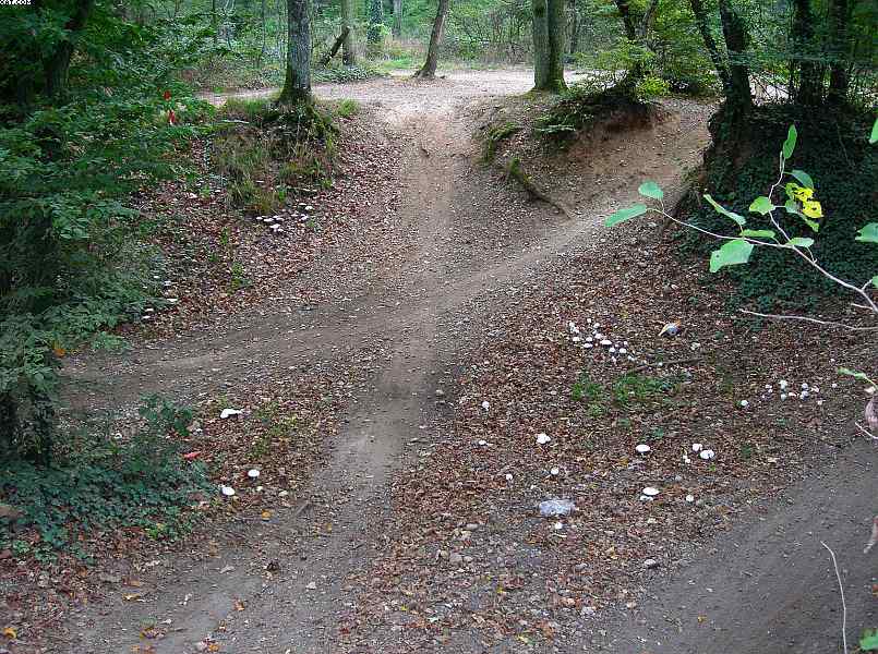 Il bosco alluvionale di Rixheim  (FRA)